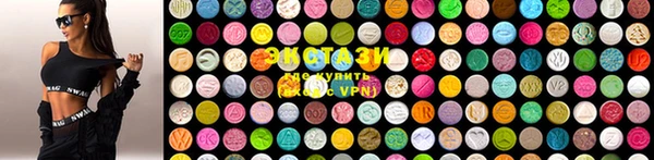гашик Богородск