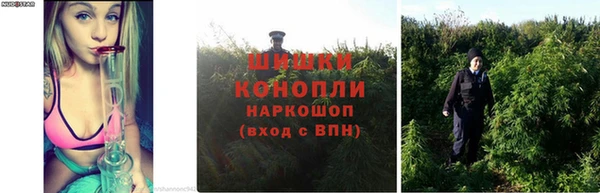 гашик Богородск
