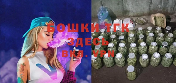 гашик Богородск