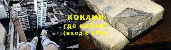 гашик Белокуриха