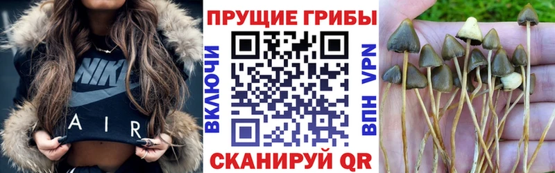 купить   Горняк  Галлюциногенные грибы прущие грибы 